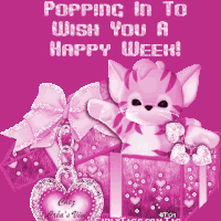 Kotek w pudełku wita nowy tydzień